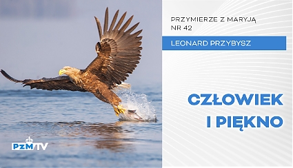 Człowiek i piękno